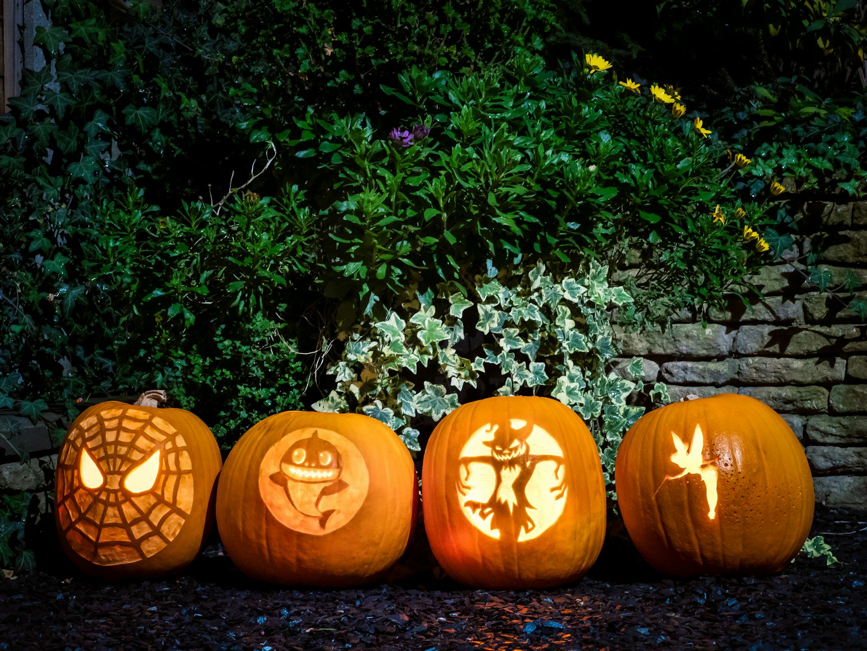 The Art of Pumpkin Carving: From Tradition to Creativity | Flowing ...